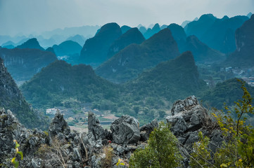 沈烨苏卿卿窦姿若是什么小说