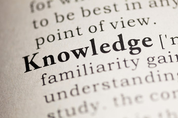 沈烨苏卿卿窦姿若是什么小说