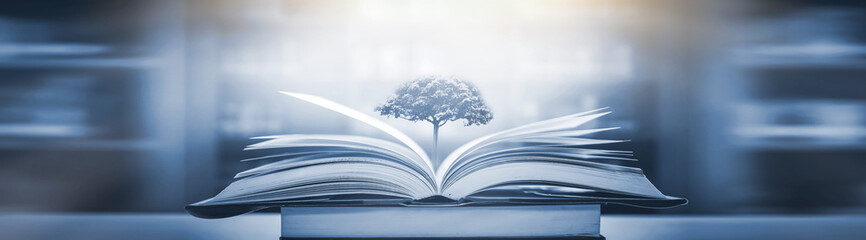 沈烨苏卿卿窦姿若是什么小说