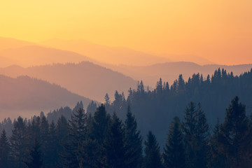 【电研所】研发重大突破！无膜燃料电池可使用乙醇充电