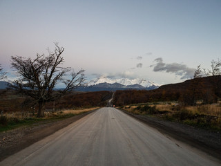 沈烨苏卿卿窦姿若是什么小说