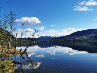 娱乐圈沪上马亲王是谁