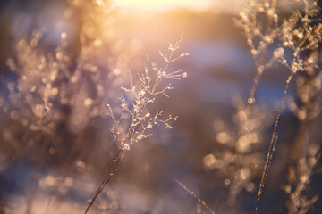 玛莎拉蒂suv优缺点