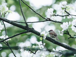 一万元以内的代步摩托车有哪些推荐？