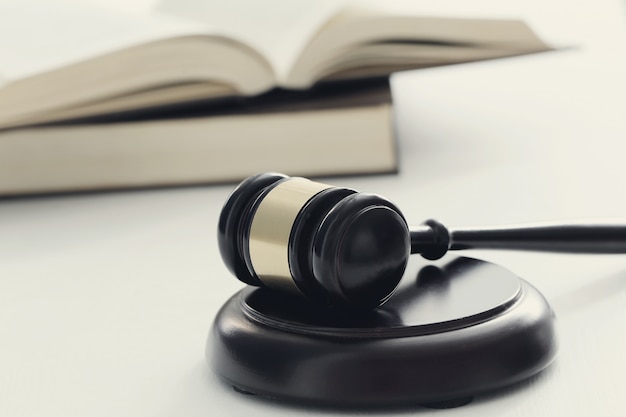 沈烨苏卿卿窦姿若是什么小说