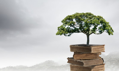 解放J6L一26o汽车是多少马力