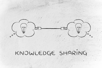 沈烨苏卿卿窦姿若是什么小说